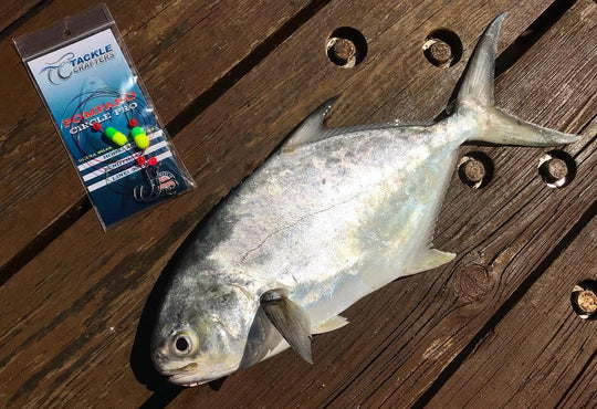 How to Target Pompano While Surf Fishing in Florida Using Tackle Crafters Pompano Rigs