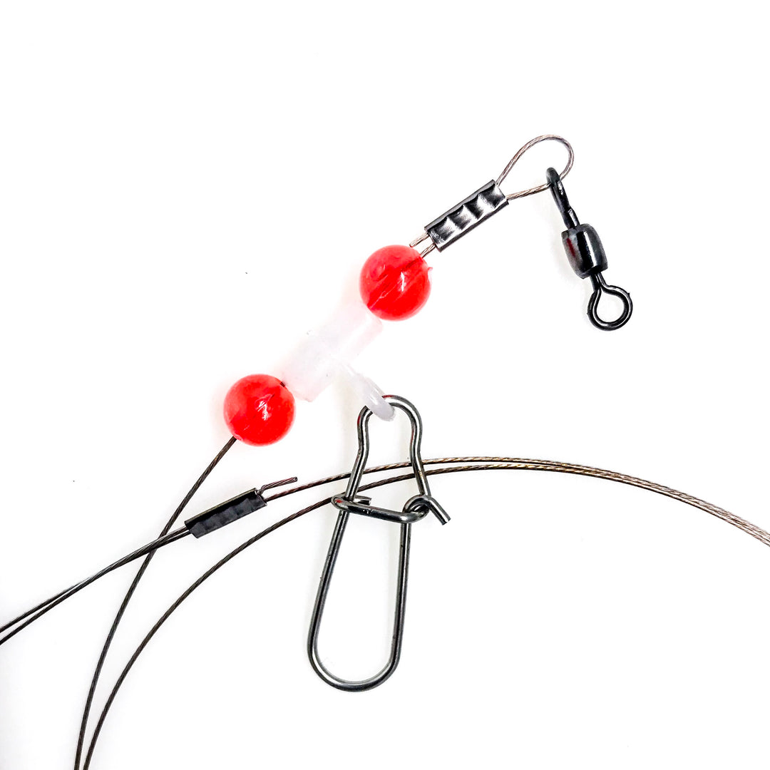 Bluefish Tandem Close Up