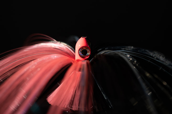 Zoom Witch